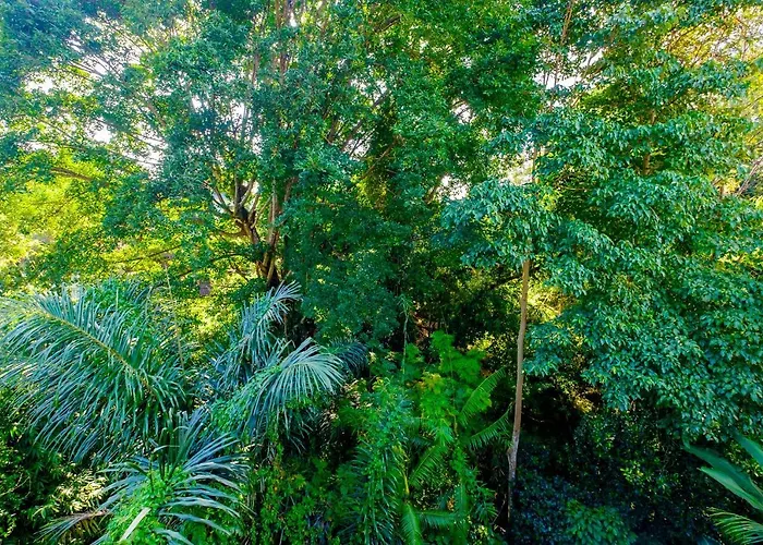 Bali Harmony